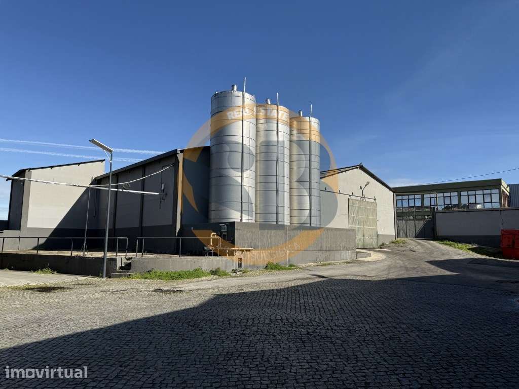 Armazém Industrial em Estarreja! - Grande imagem: 5/43