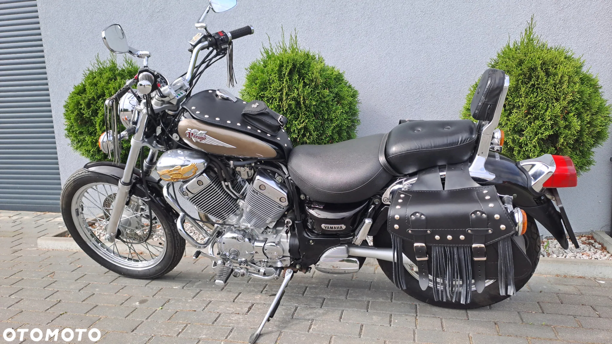 Yamaha Virago - 5