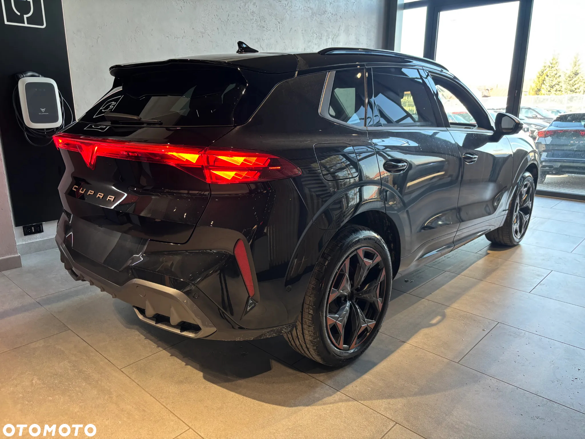 Cupra Terramar 2.0 TSI 4Drive DSG - 4