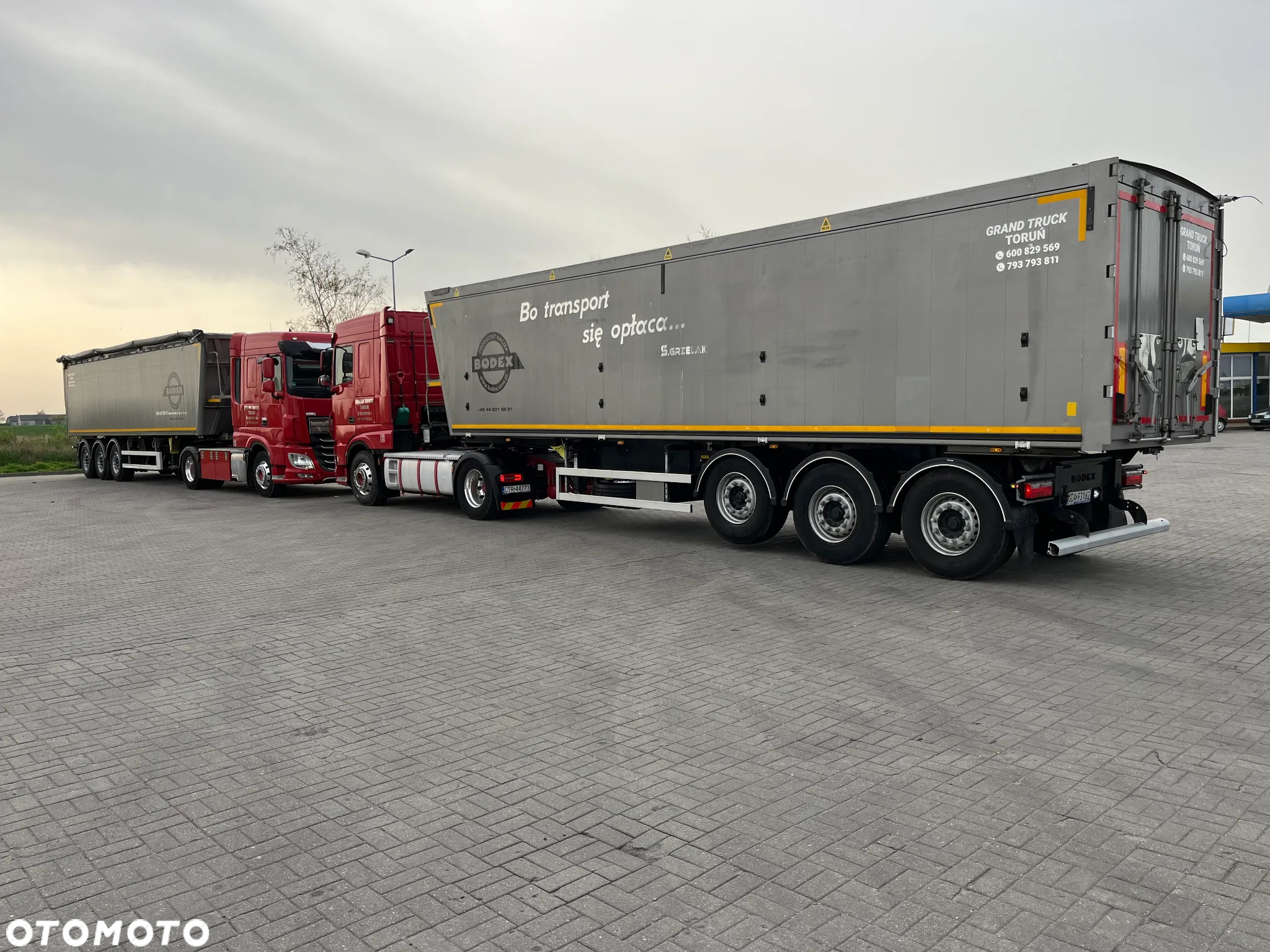 Bodex - 13
