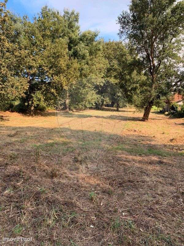 Terreno  para venda - Grande imagem: 3/6