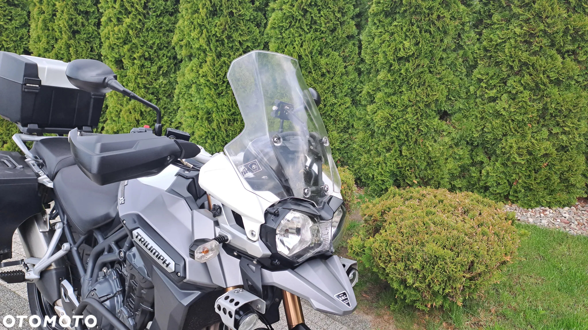 Triumph Tiger - 7