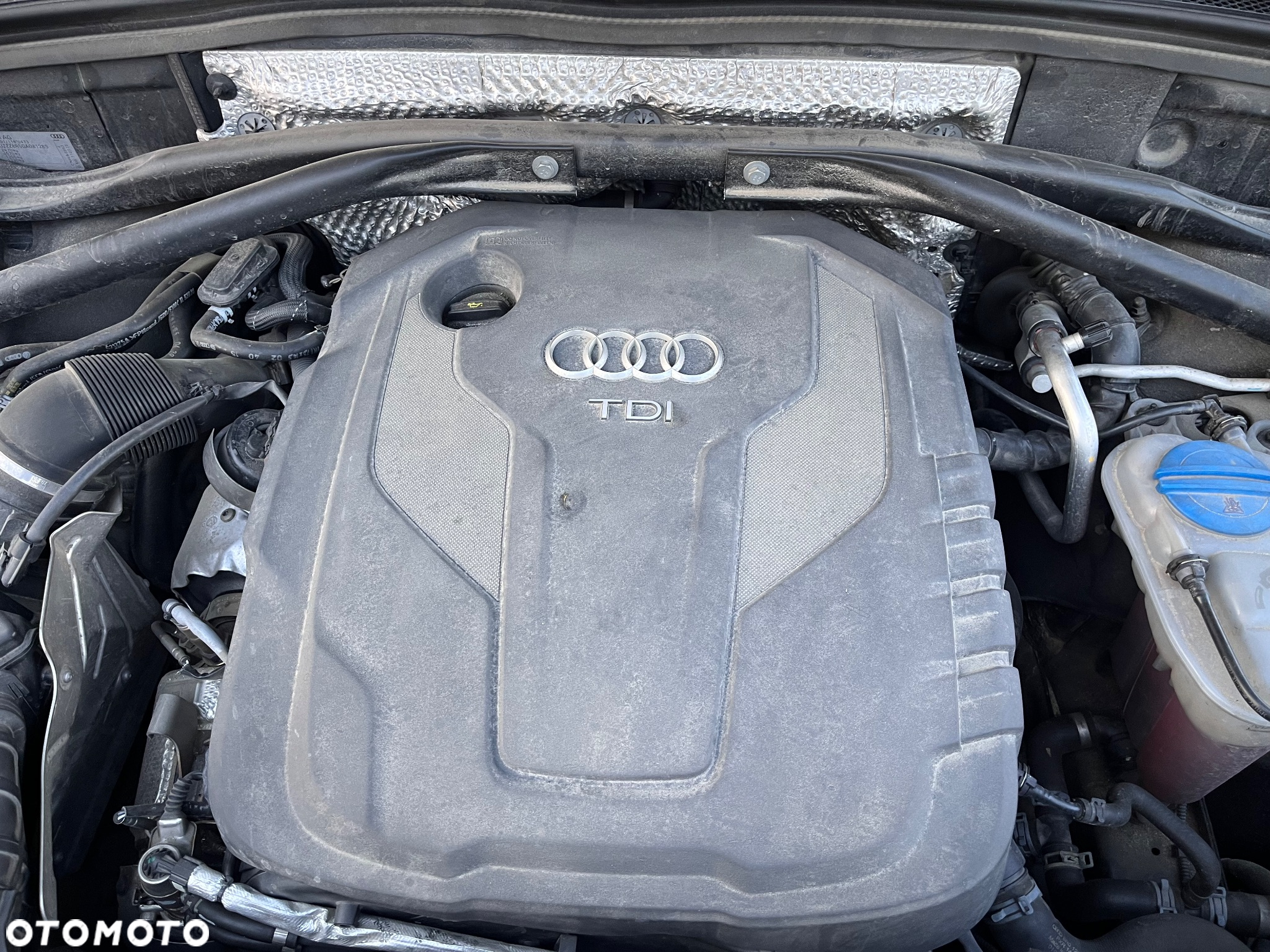 Audi Q5 2.0 TDI clean diesel Quattro S tronic - 19
