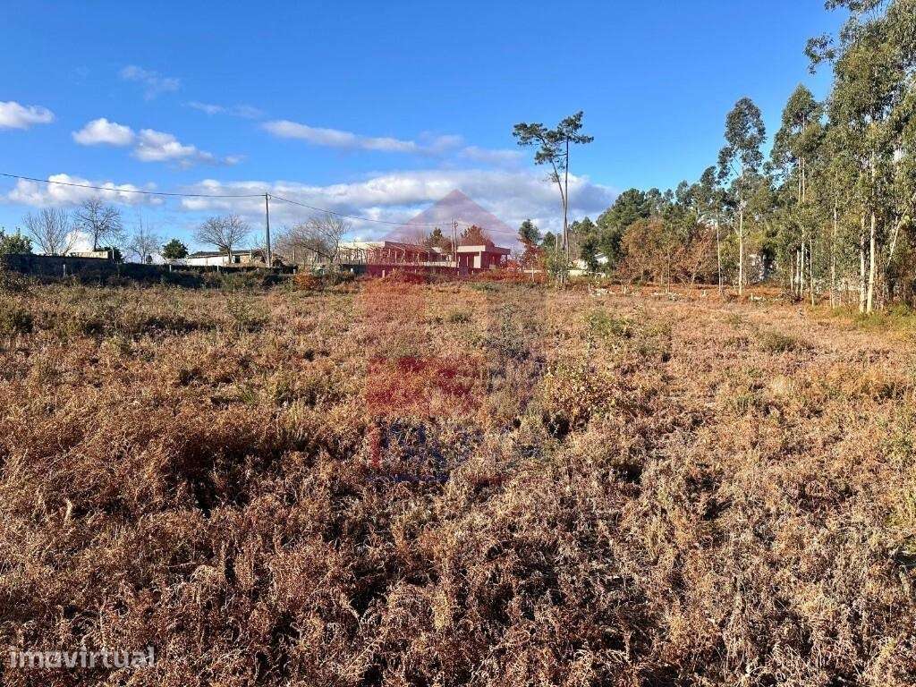 Terreno para construção, Igreja Nova - Grande imagem: 5/22