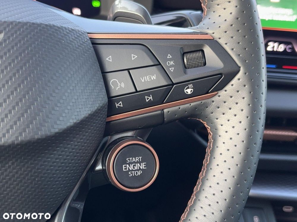 Cupra Terramar - 22