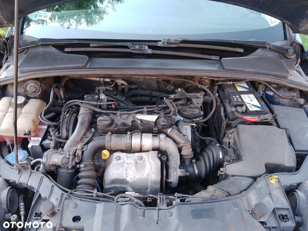 Ford Focus - 15
