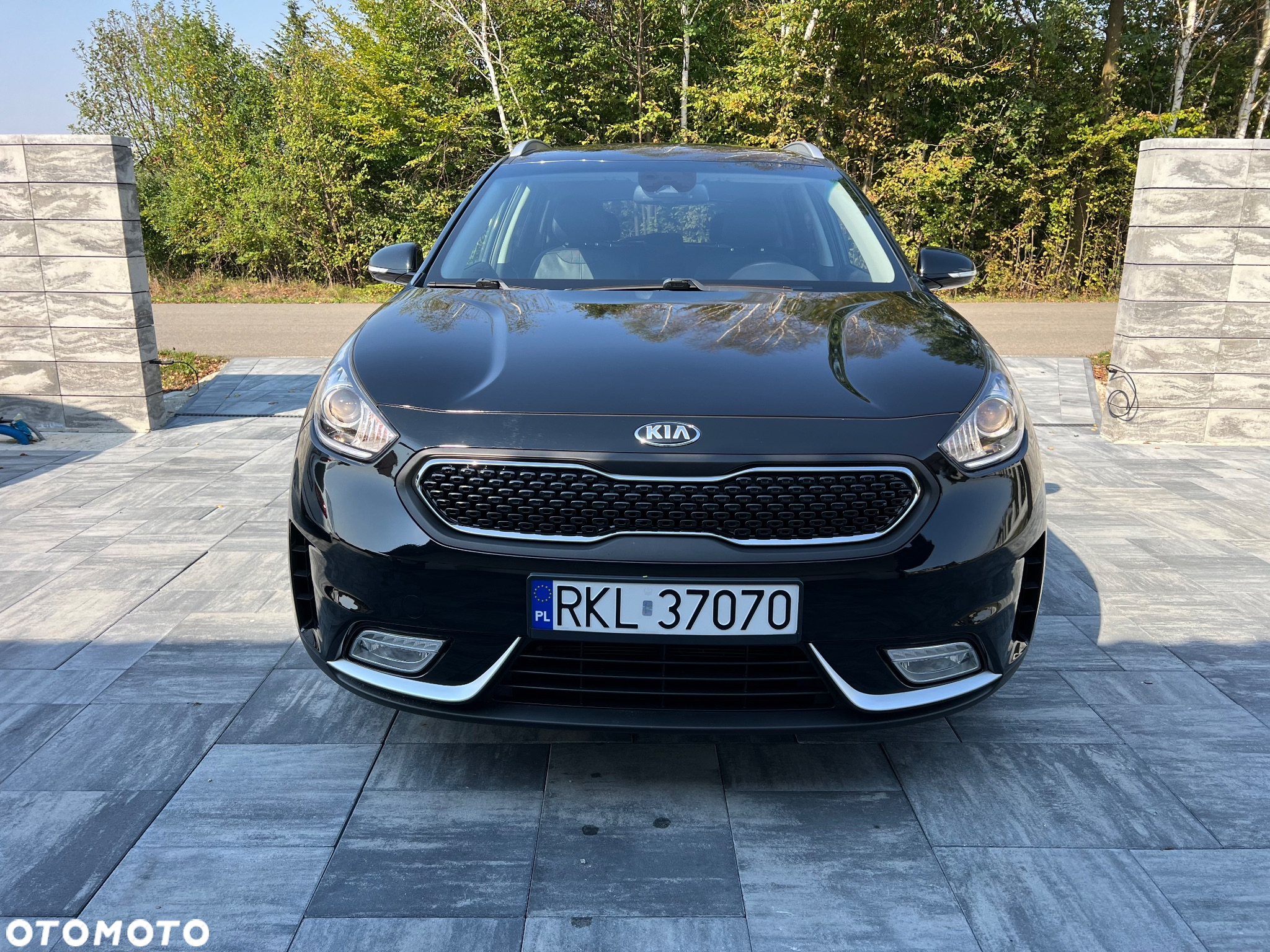 Kia Niro 1.6 GDI Hybrid L Business Line - 20