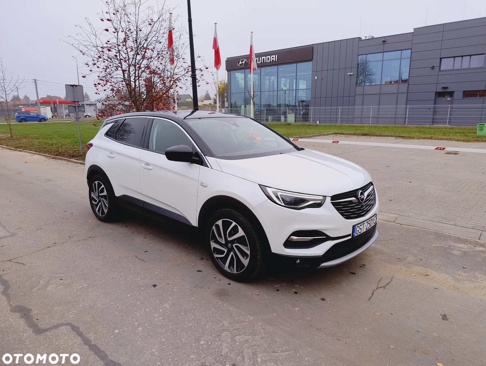 Opel Grandland X 1.6 CDTI Ultimate S&S - 6