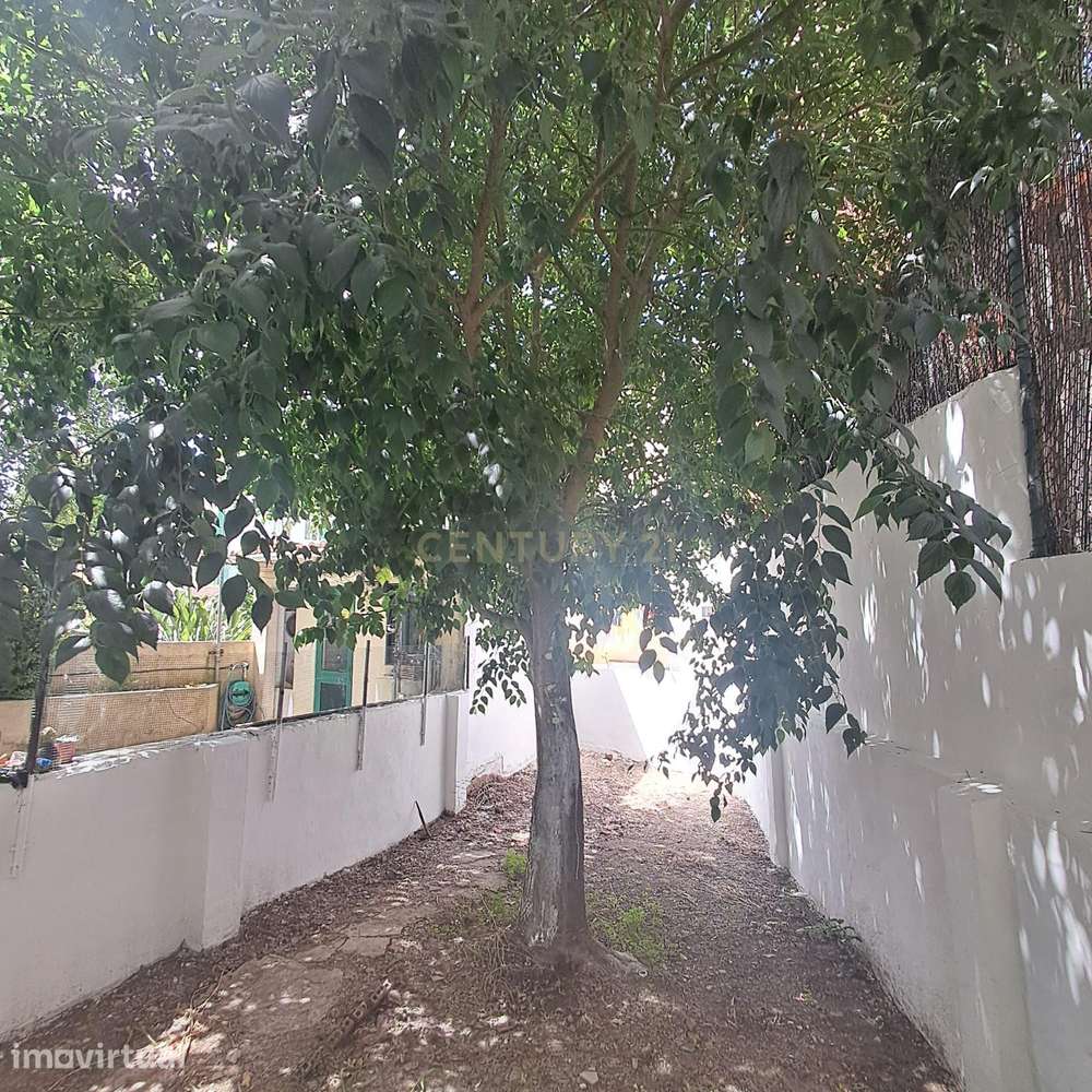 T2 renovado com requinte e logradouro privativo, em ótima zona da Amad - Grande imagem: 5/22