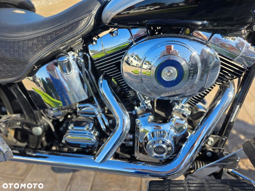 Harley-Davidson Softail Springer Classic - 22