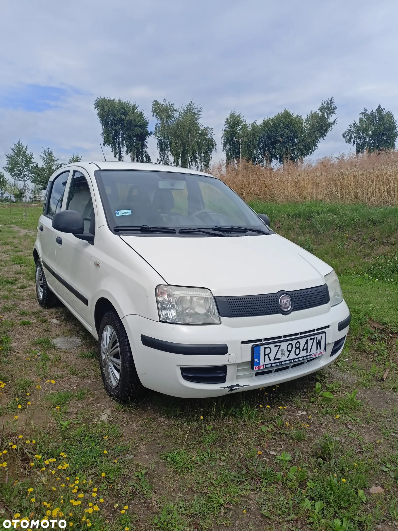 Fiat Panda - 9