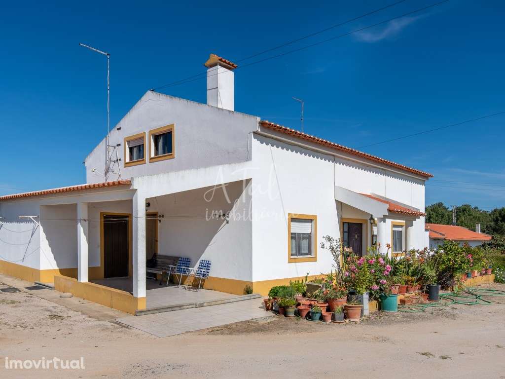 Herdade Única com Duas Casas e Anexos - Próximo da Lagoa de Melides... - Grande imagem: 4/23
