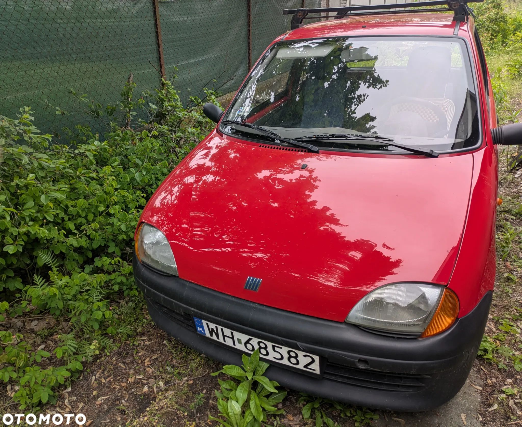 Fiat Seicento GO - 1