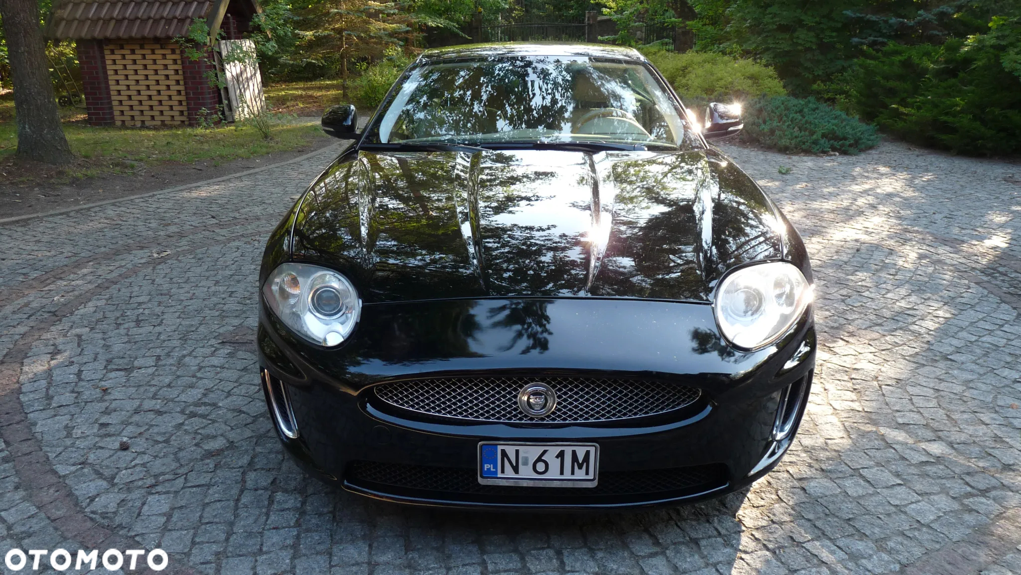 Jaguar XK 5.0 Coupe Portfolio - 3