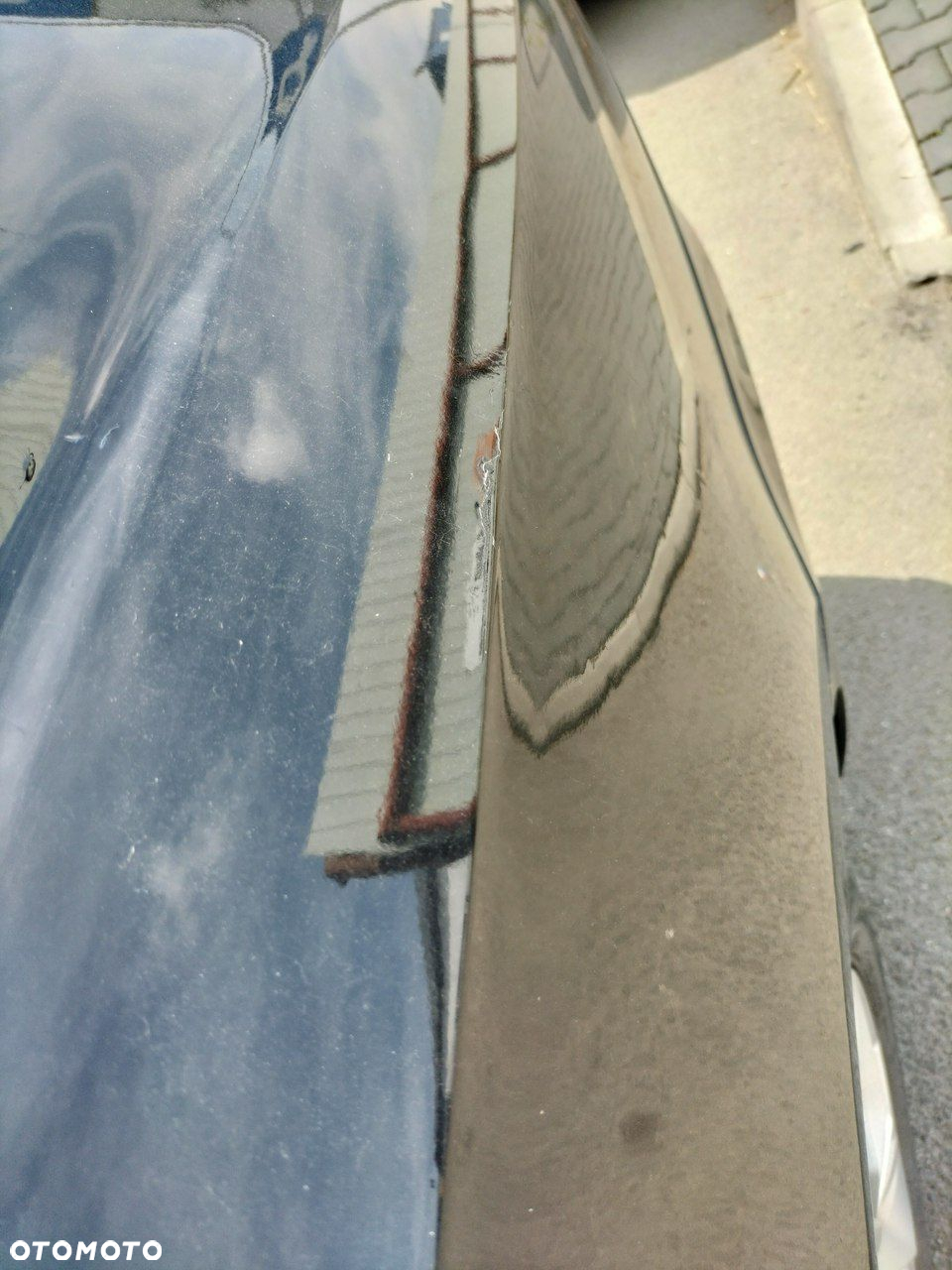 Volkswagen Passat - 19