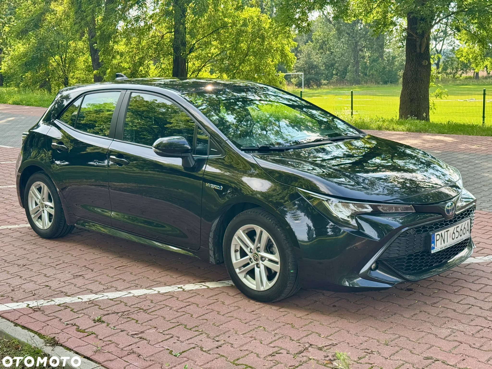 Toyota Corolla - 13