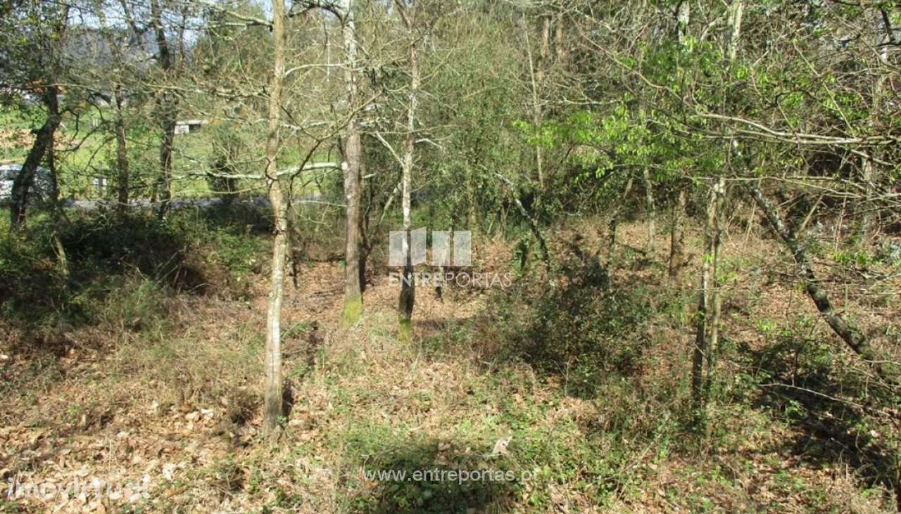 Venda Terreno, Melres, Gondomar - Grande imagem: 4/7