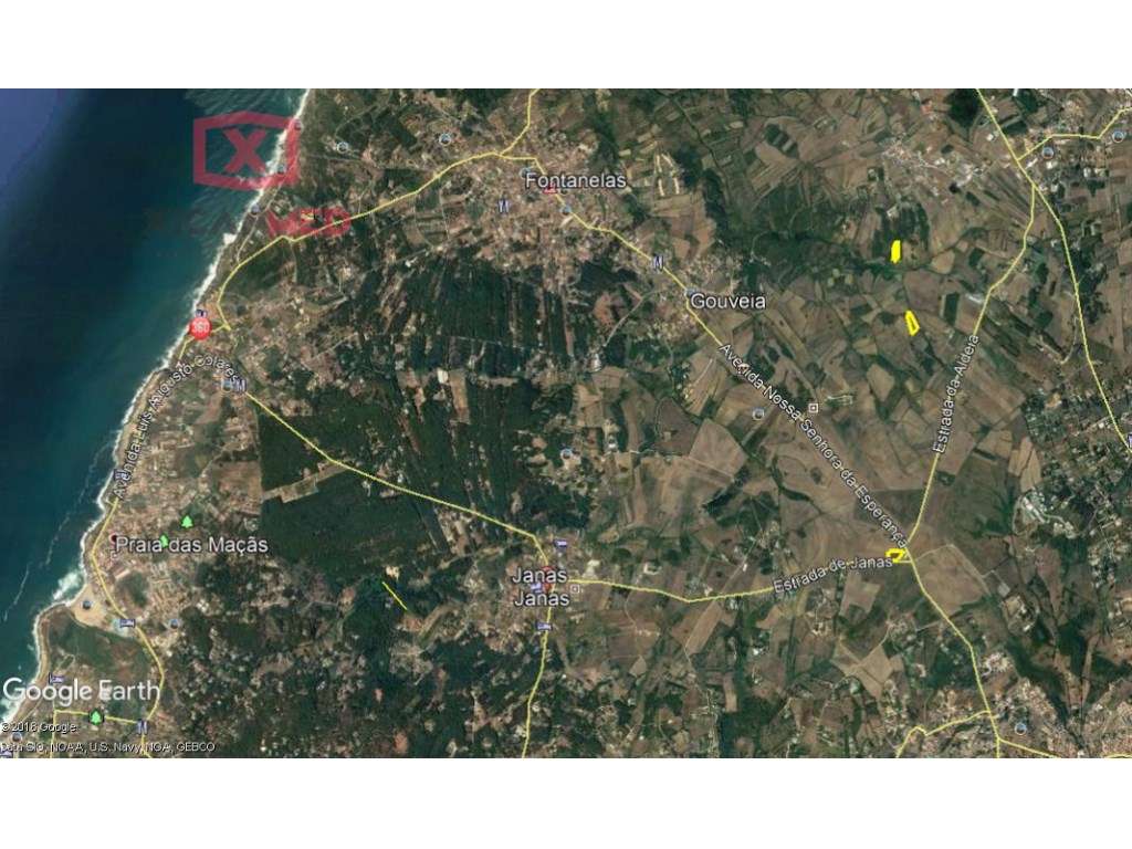 Mato Grande - Grande imagem: 3/5