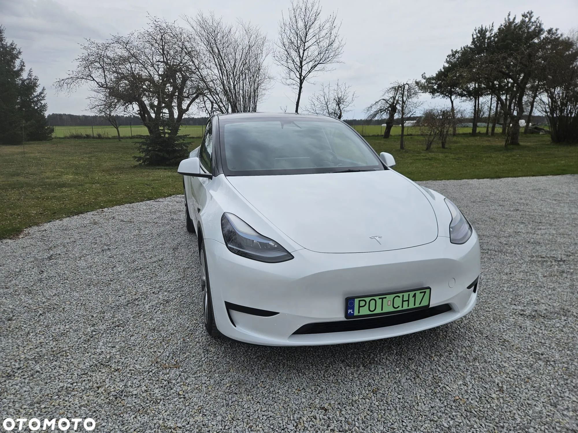 Tesla Y Model RWD - 5