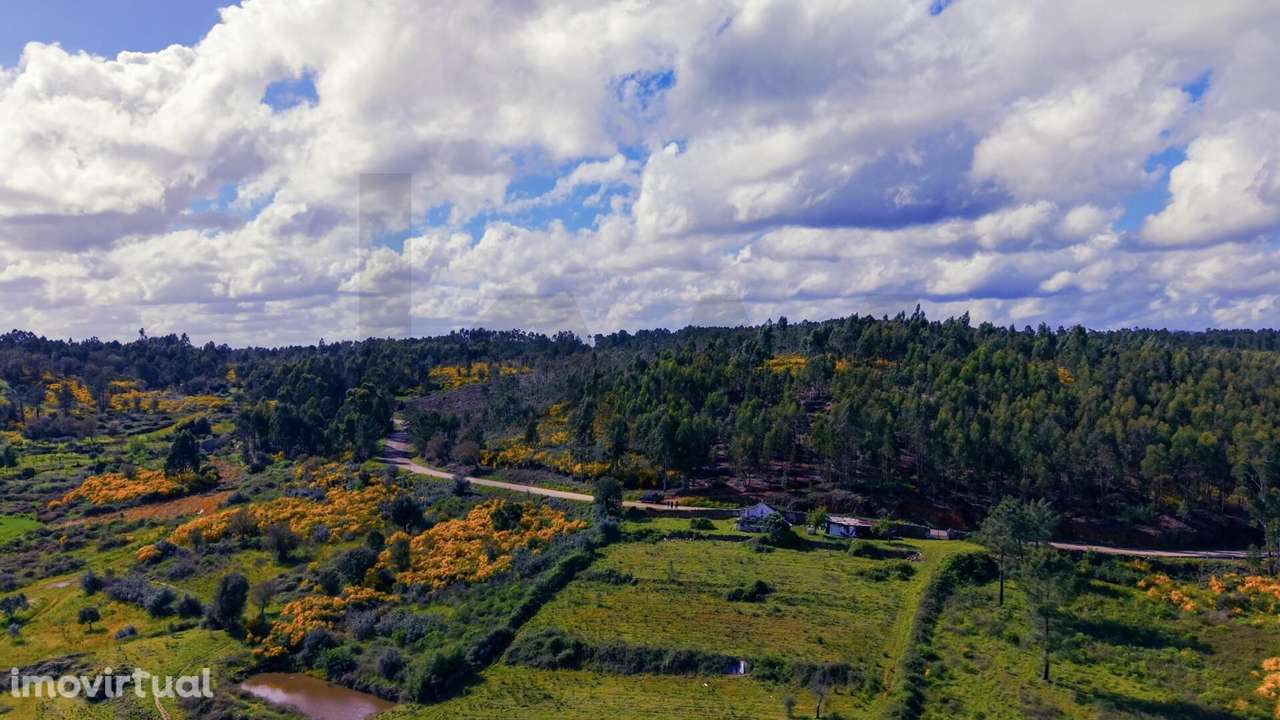 Terreno Rústico com 112.025 m2 em Belver – Potencial Agrícola, Florest - Grande imagem: 5/20