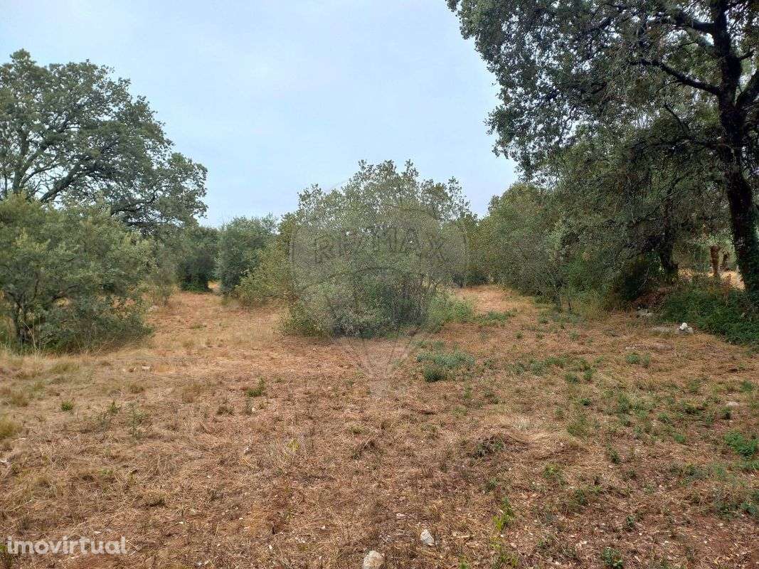 Terreno  para venda - Grande imagem: 3/4