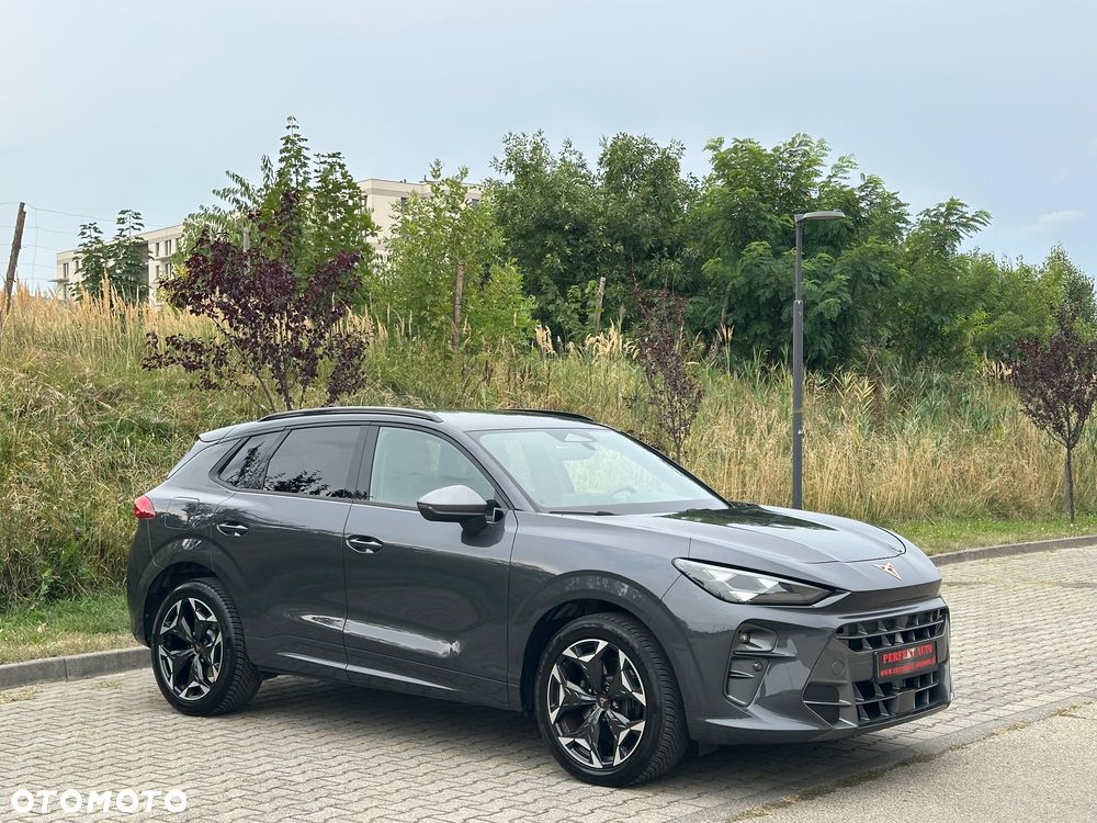 Cupra Terramar 2.0 TSI 4Drive DSG VZ - 18