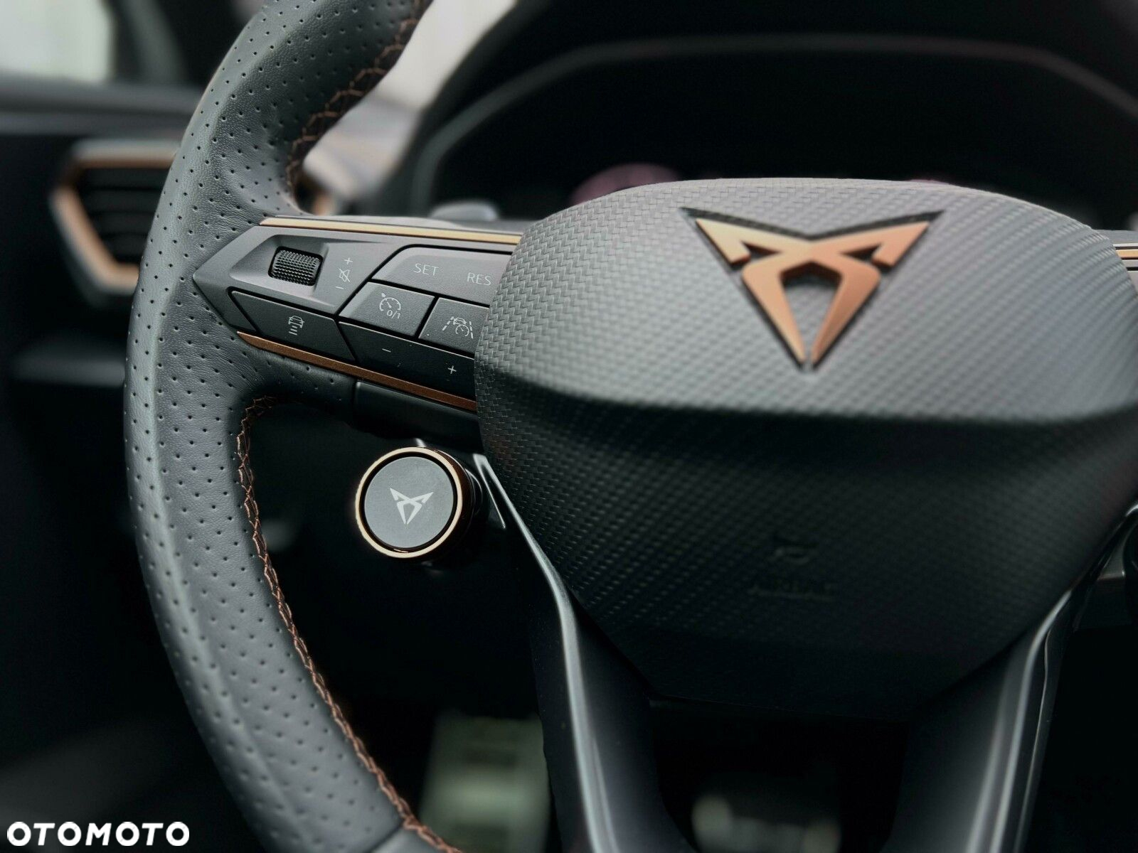Cupra Formentor 2.0 TSI 4Drive VZ DSG - 24