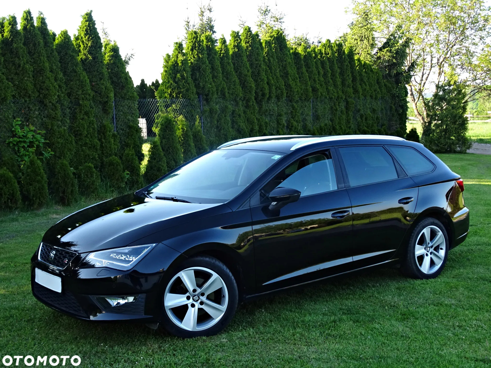Seat Leon - 19