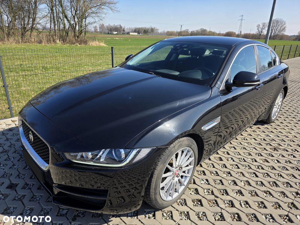 Jaguar XE E-Performance Pure - 1