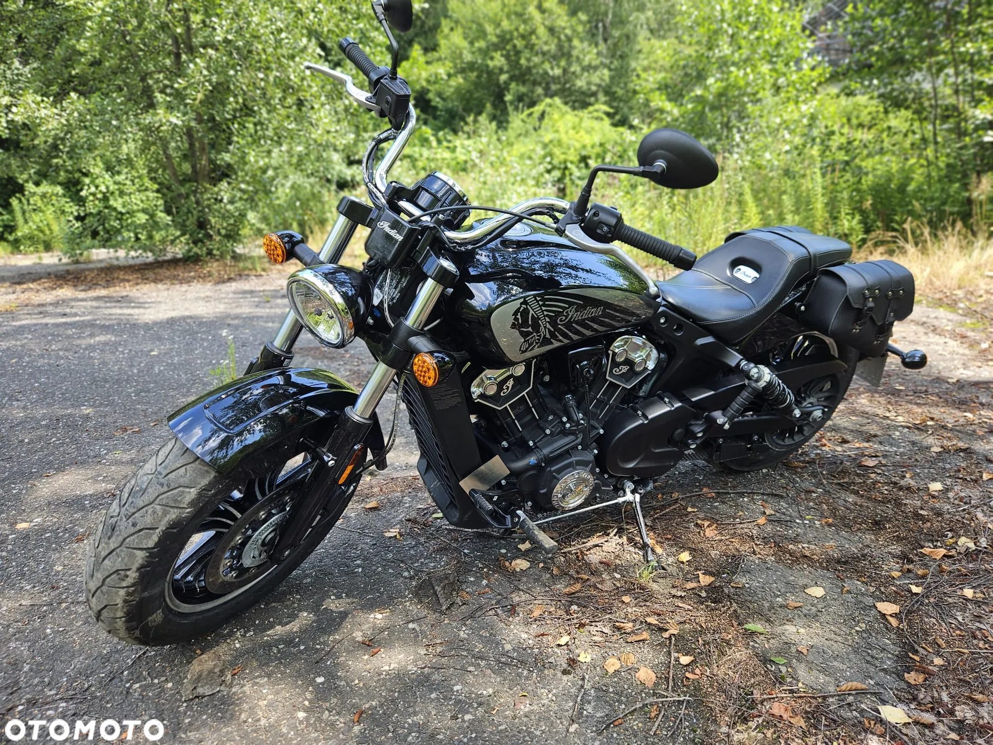 Indian Scout - 9