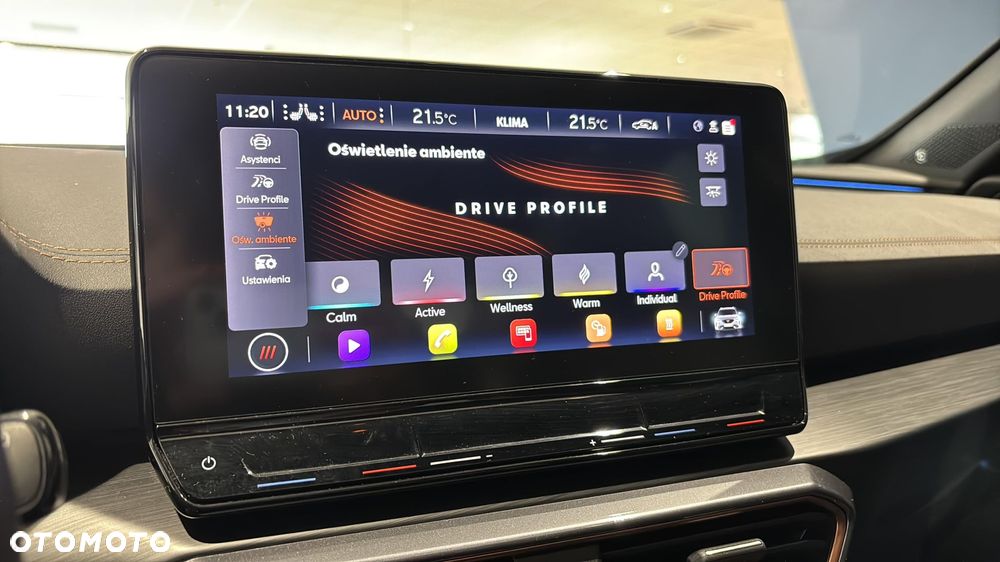 Cupra Formentor 2.0 TSI 4Drive DSG - 24