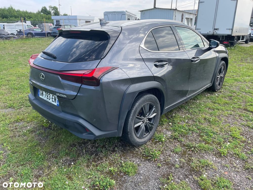 Lexus UX 250h (E-FOUR) Executive Line - 10