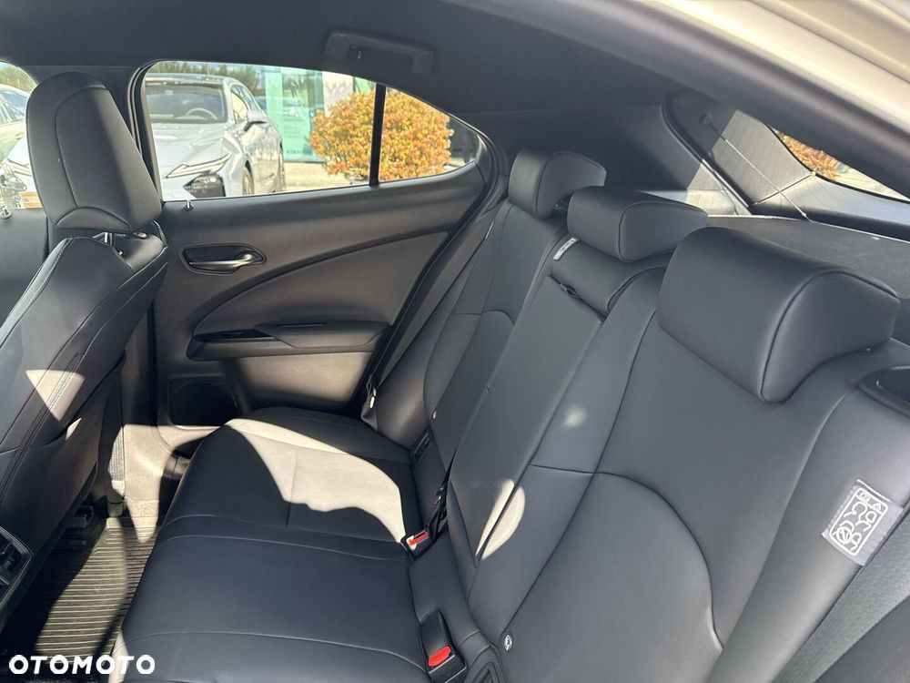 Lexus UX 250h GPF F Sport Design 2WD - 12