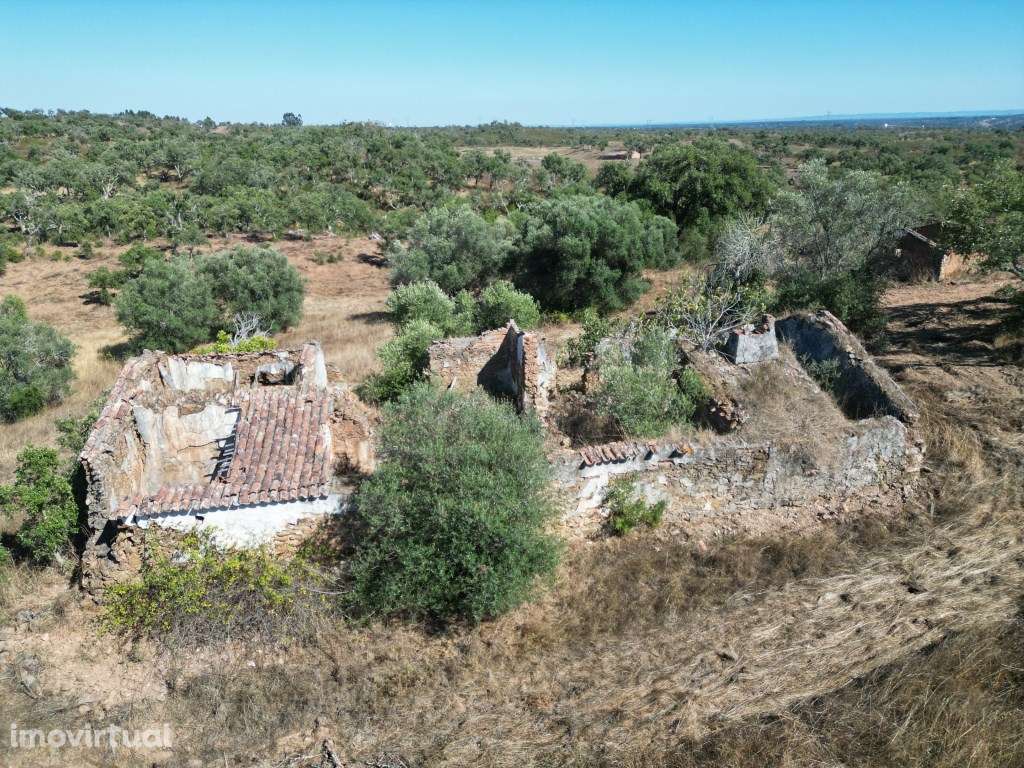 Refúgio campestre em Abela - Grande imagem: 2/21