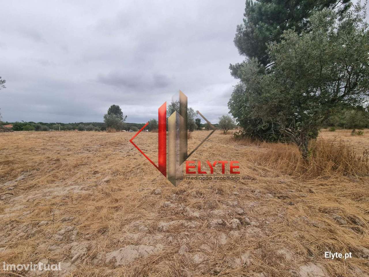 Terreno urbanizável na Branca – Coruche - Grande imagem: 3/23