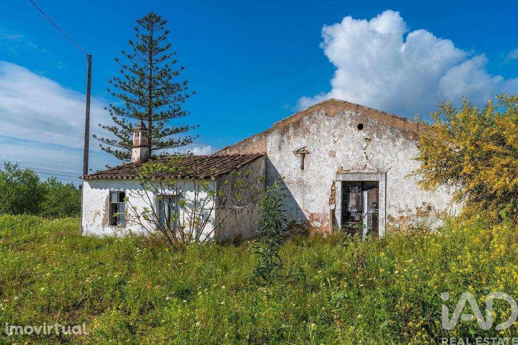 Quinta T3 em Luz de Tavira e Santo Estêvão de 362,00 m2 - Grande imagem: 4/20