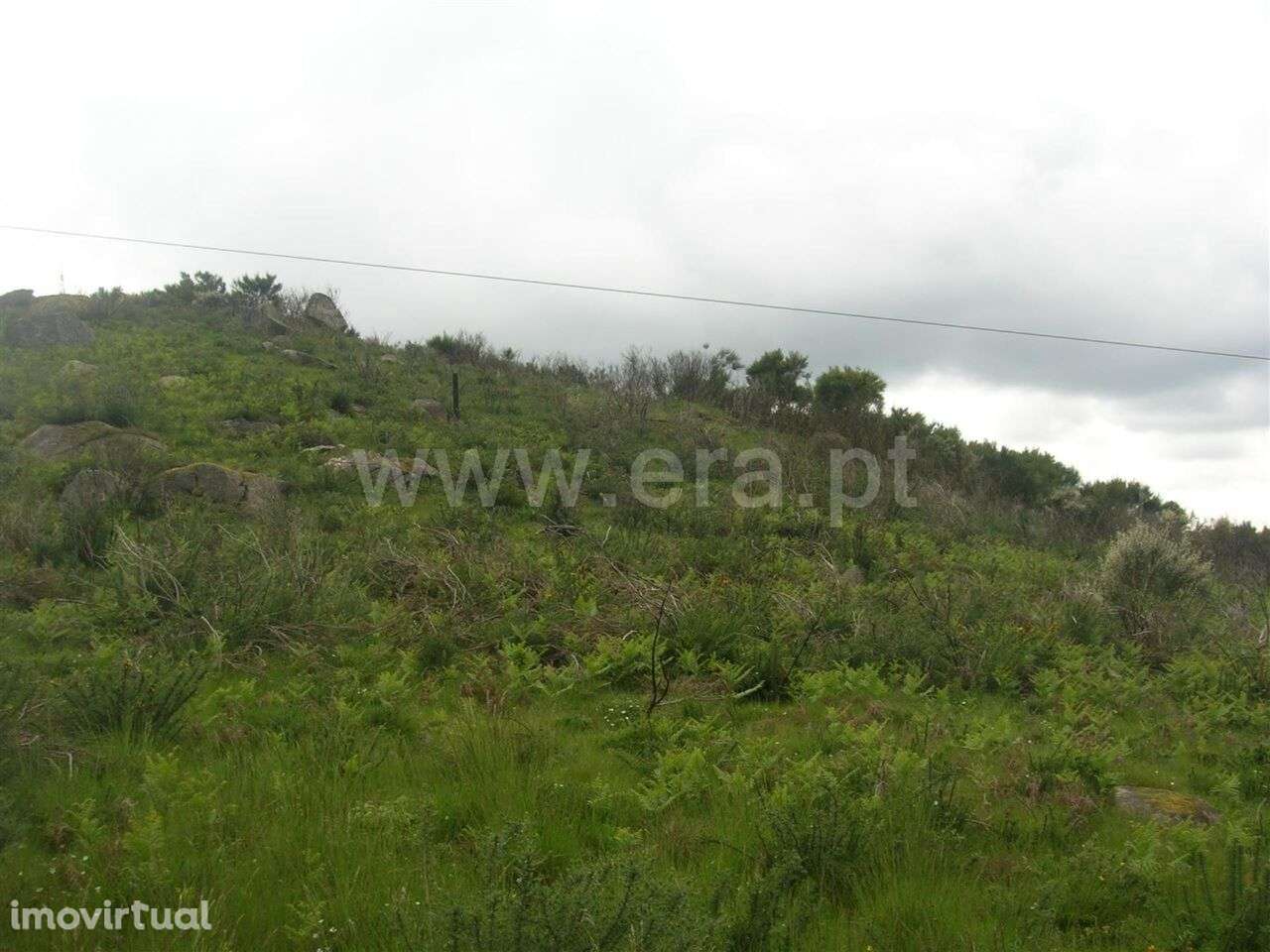 Quintinha / Marco de Canaveses, Penhalonga e Paços de Gaiolo - Grande imagem: 2/10