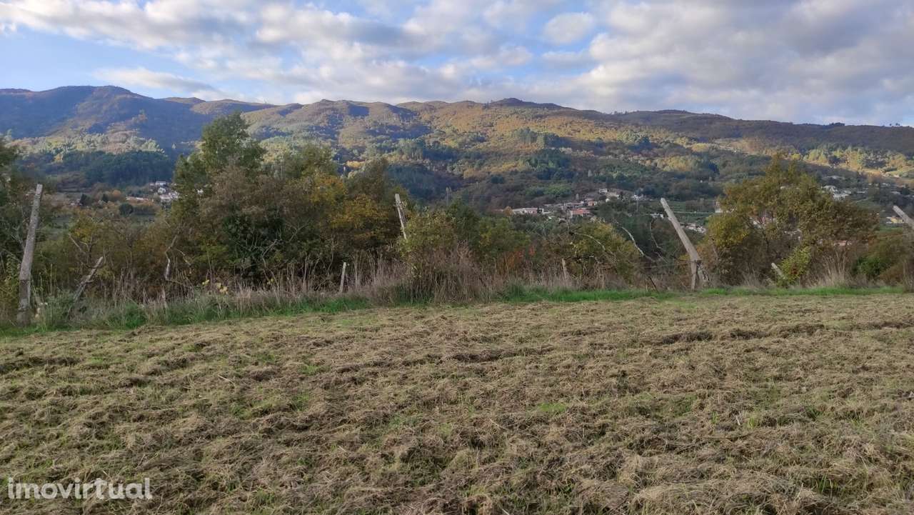 Terreno  Venda em Campelo e Ovil,Baião - Grande imagem: 2/21