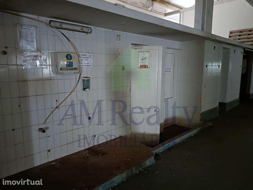 *INVESTIMENTO* - Grande imagem: 4/12