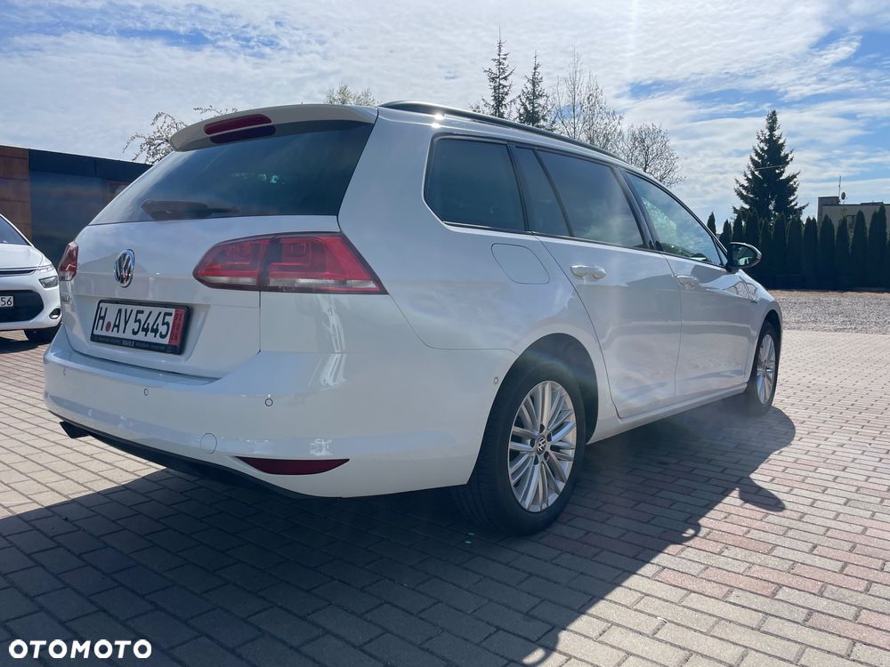 Volkswagen Golf 1.6 TDI BlueMotion Technology Cup - 11