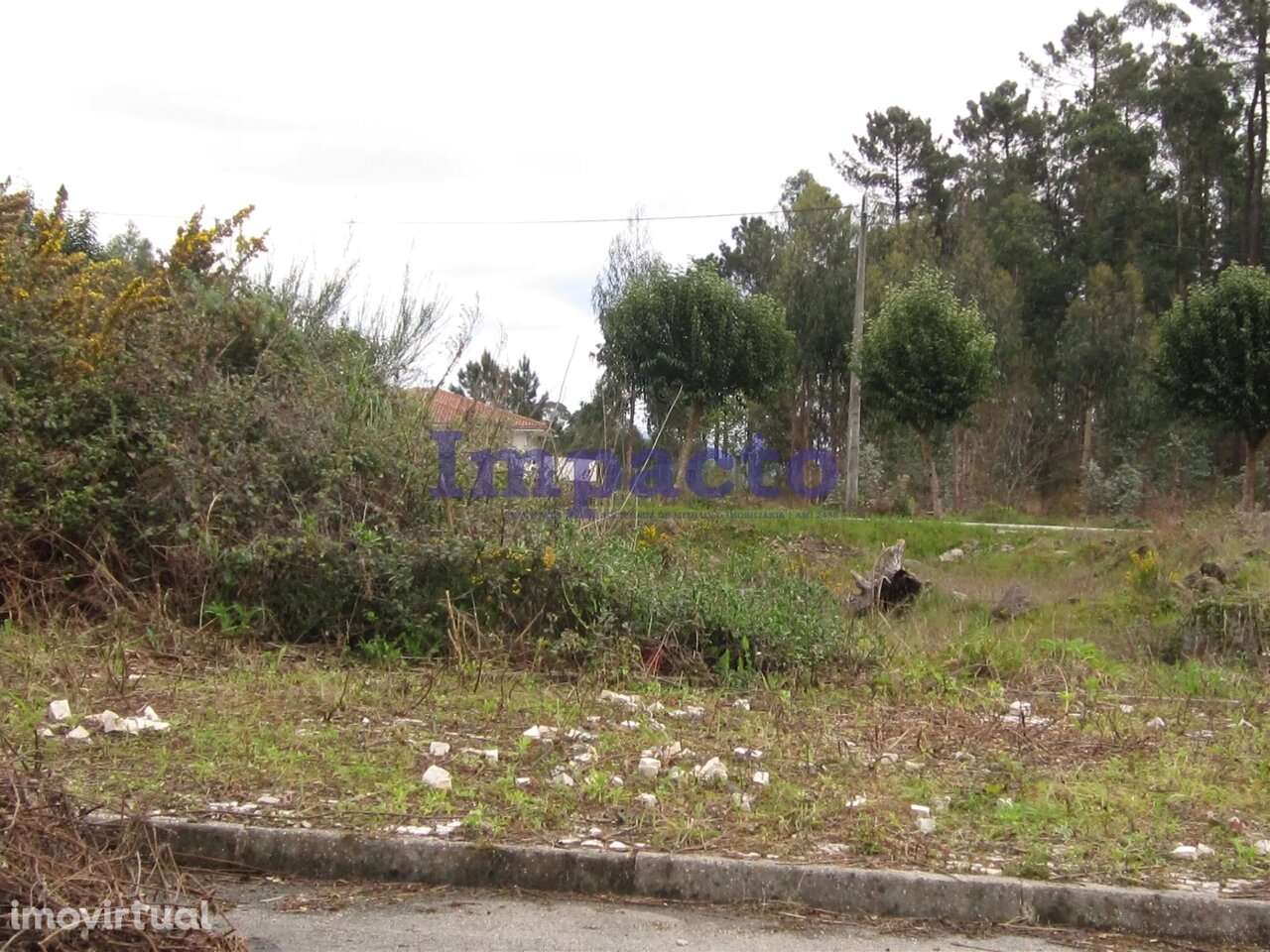 Lotes de Terreno para Construção em Fajões, Oliveira de Azeméis - Grande imagem: 4/4