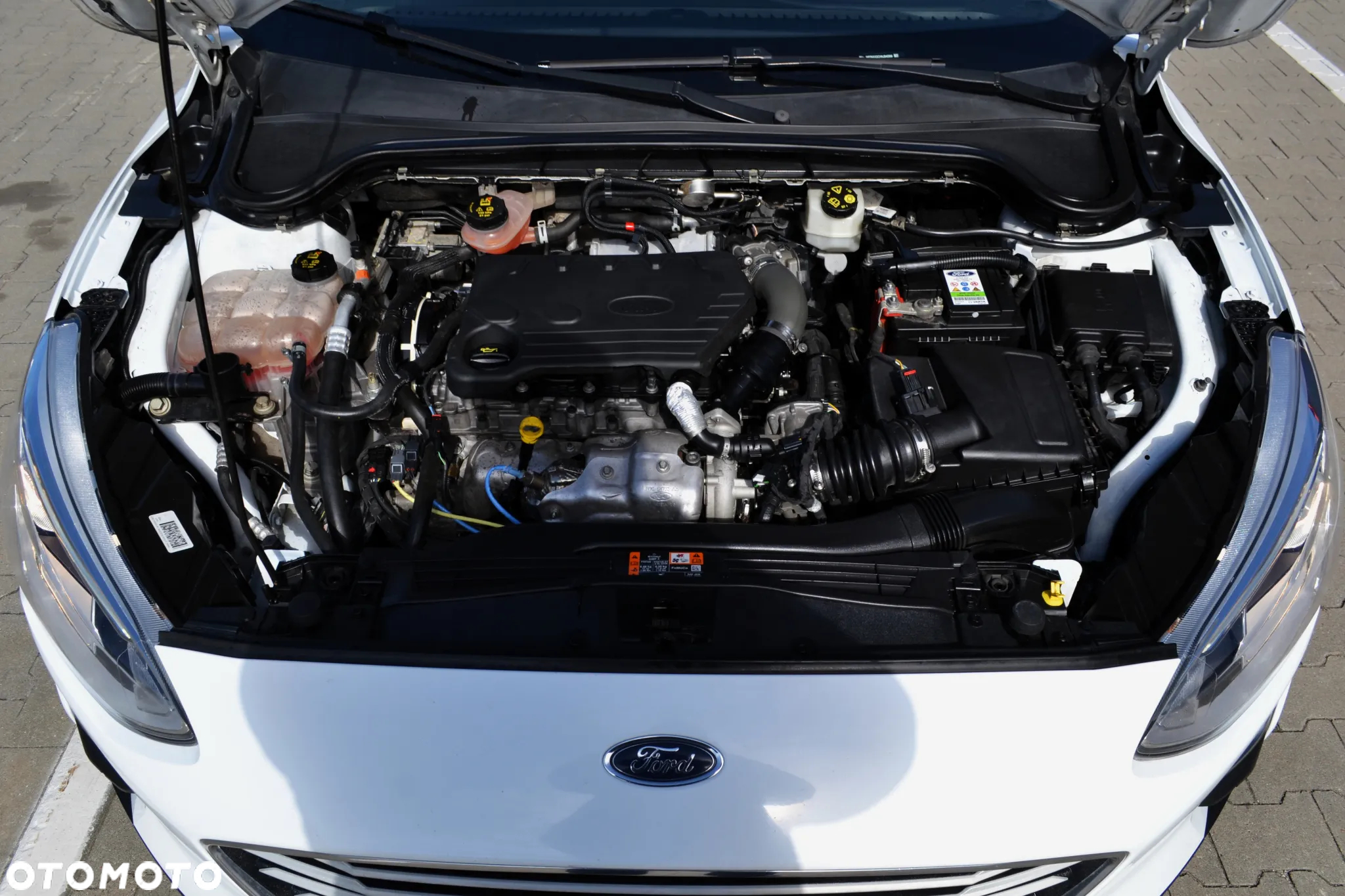 Ford Focus 1.5 TDCi Gold X ASS - 37