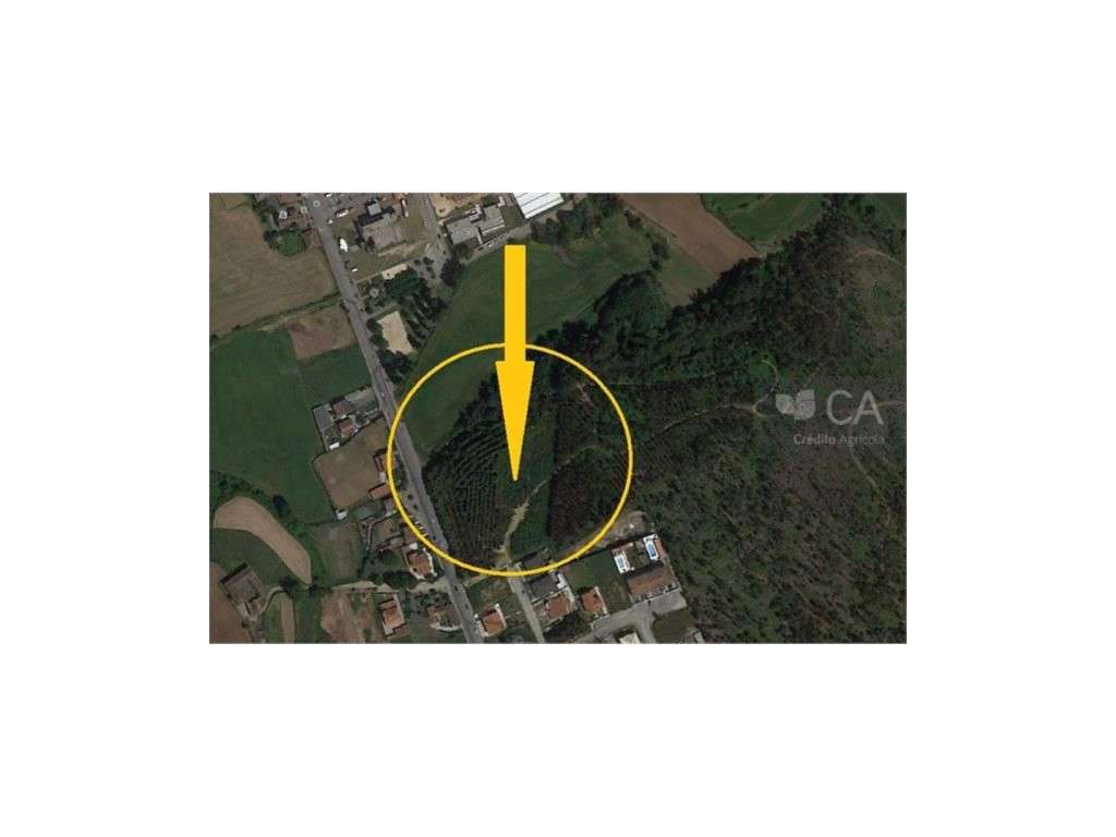 (58) Terreno Rustico p construção c 30.520 m2 - Lugar do Outeiro, G... - Grande imagem: 3/3