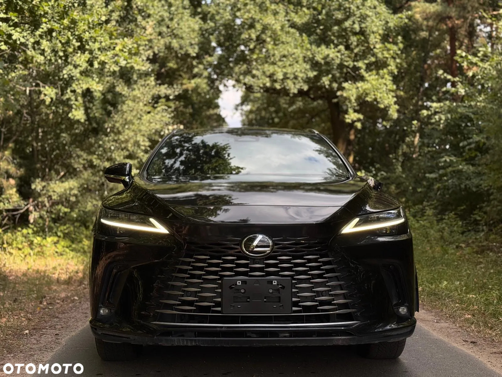 Lexus RX 350h (hybrid) Business - 5