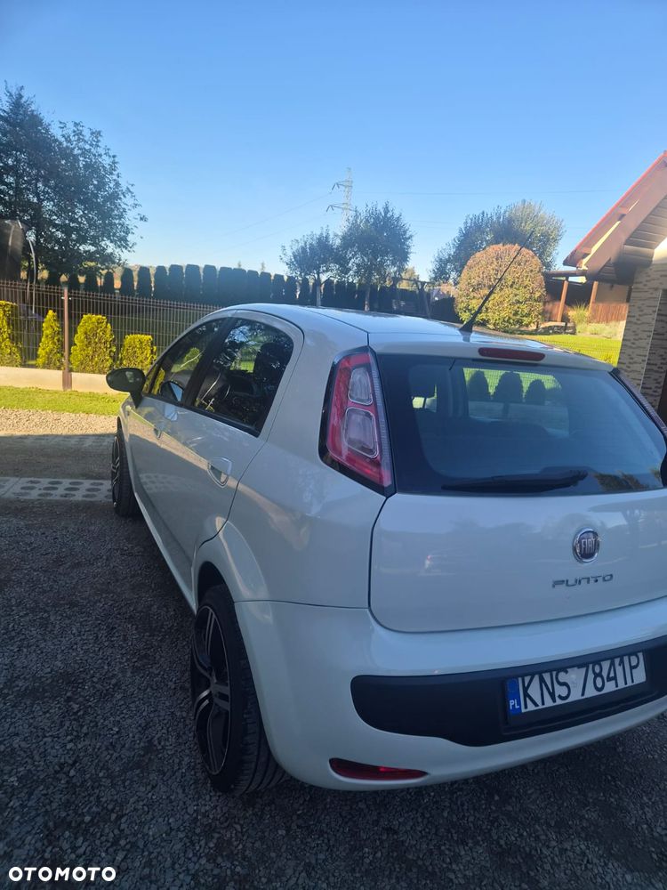 Fiat Punto - 6