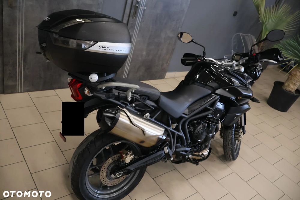Triumph Tiger - 11