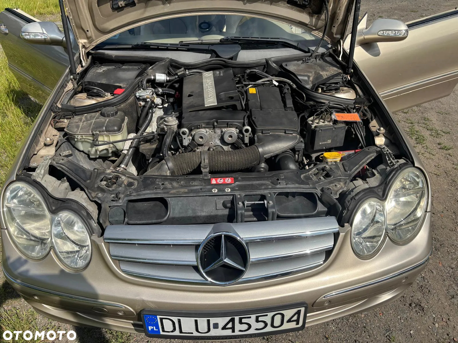 Mercedes-Benz CLK - 33