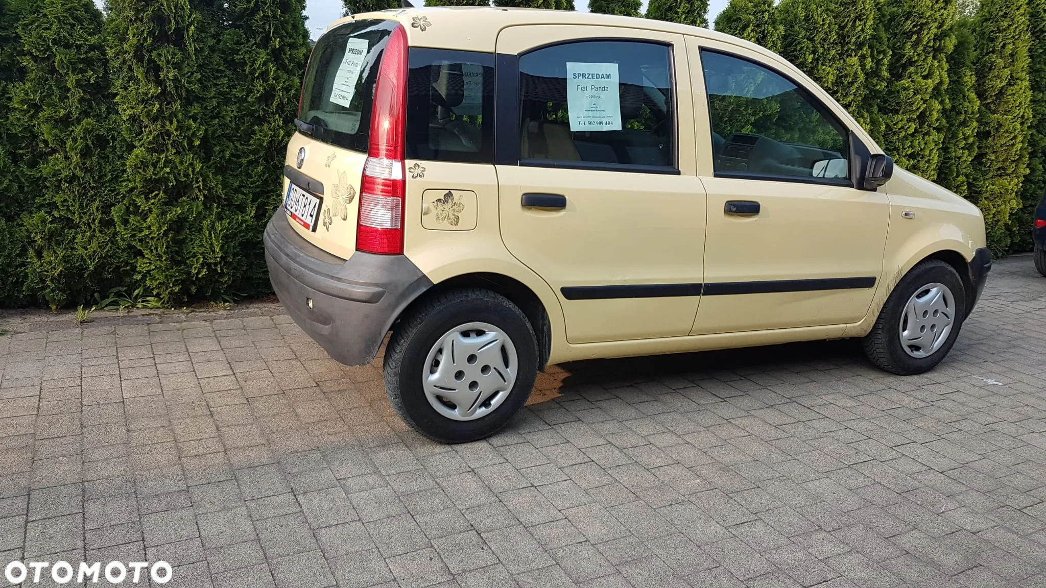 Fiat Panda 1.1 Active Eco - 4