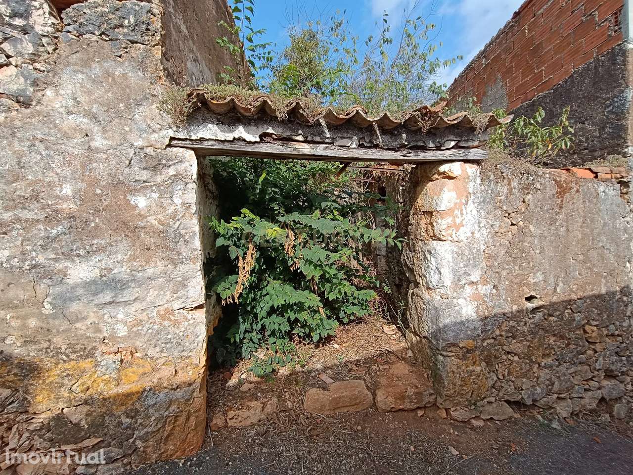 Ruína com Terreno em Pedrogão – Próximo às Grutas de Mira D’Aire - Grande imagem: 2/7