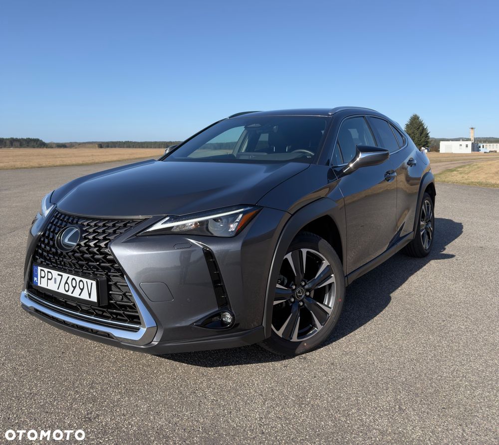 Lexus UX 300h - 2